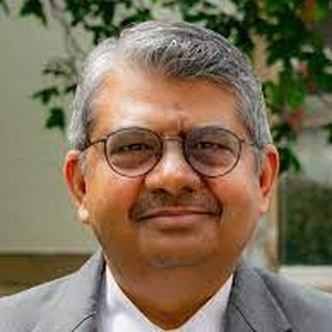 Rahul Mukherji (Professor at South Asia Institute in Heidelberg University)